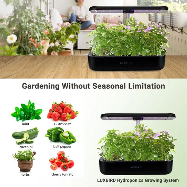 Smart Home Garden Hydroponics Growing System 4