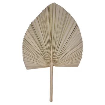 

1PC Natural Palm Fan Leaf Dried Flower Window Reception Party Art Wall Hanging Decoration Wedding Arch Arrangement