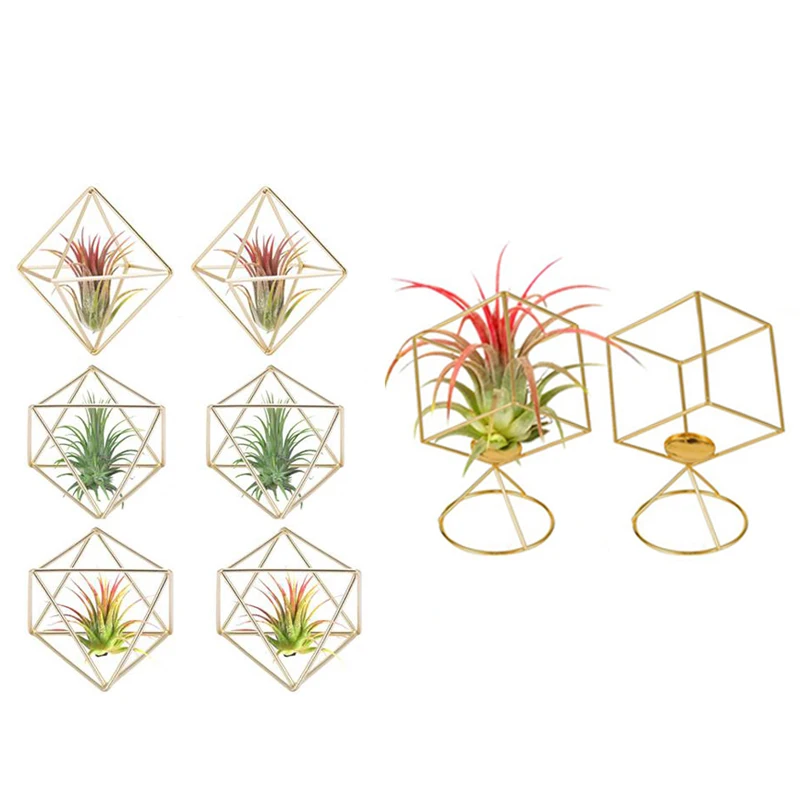 8 Pack Air Plant Holder Tillandsia Plants Stand Hanging Containers Display Racks Tabletop Himmeli Decor | Мебель