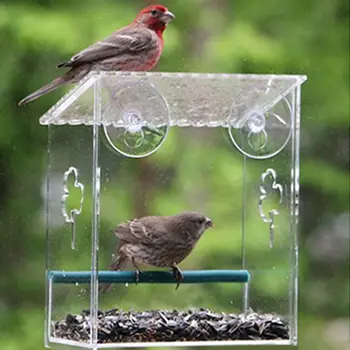 

Hanging Removable Square Bird Feeder Clear Glass Window Seed Tray Easy to Refill