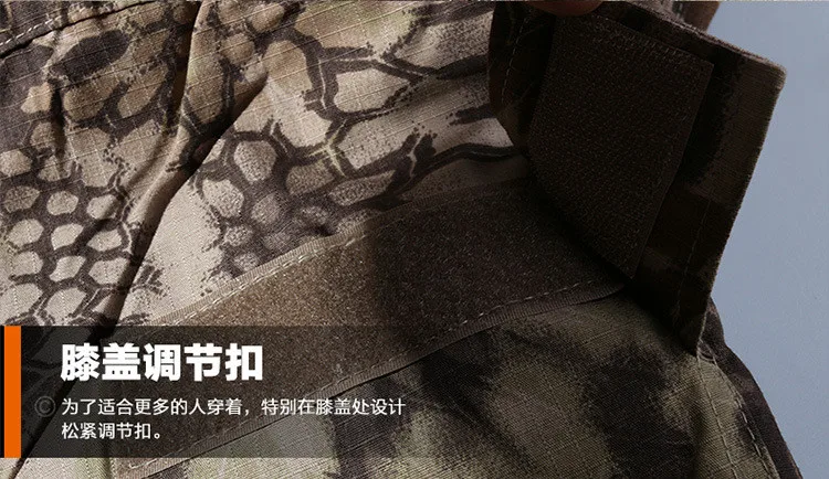 2909460331_289375056