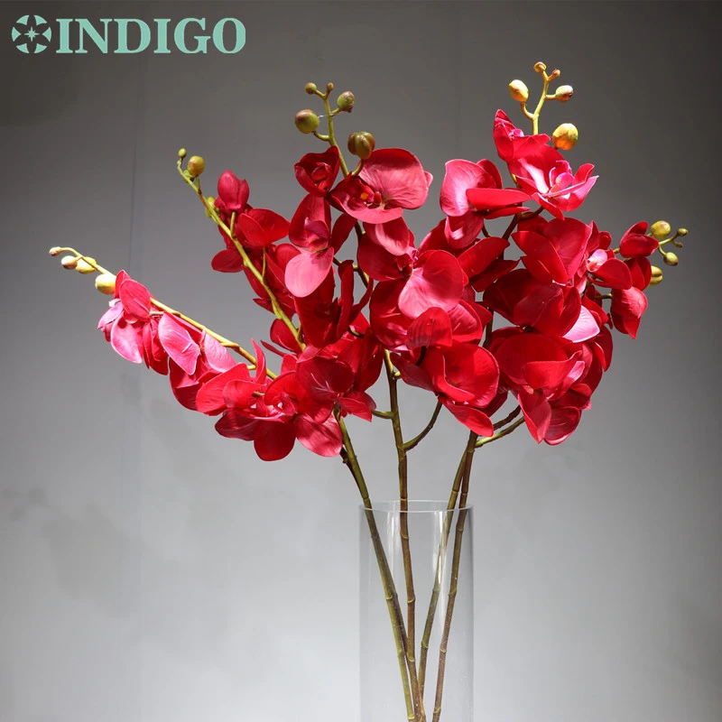 Wholesale 100pcs Large 100cm Red Phalaenopsis Orchid Silk Real Touch Flower Decorative Wedding Flower Floral Party Free Shipping Artificial Dried Flowers Aliexpress