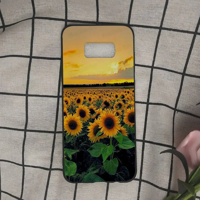 daisy Sunflower