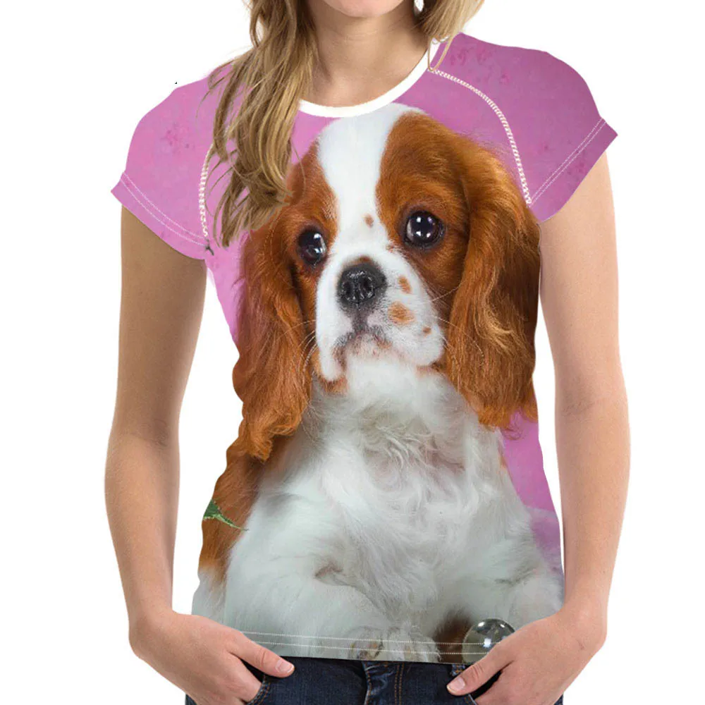 funny king charles cavalier pictures