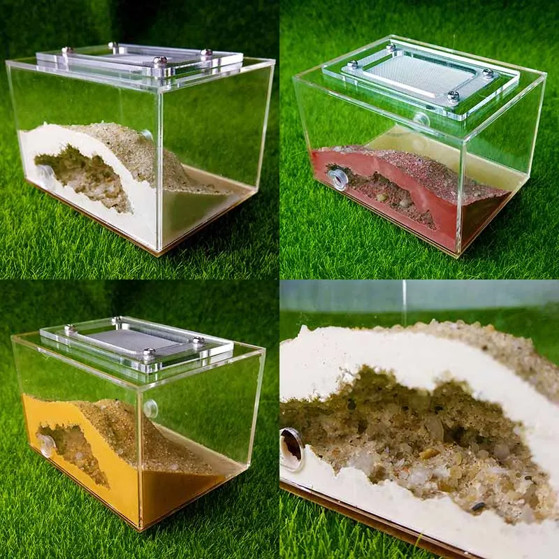 DIY Mini Imitation Ecological Plaster Nest Pet Ant Farm Workshop Home Reptile Terrarium Box
