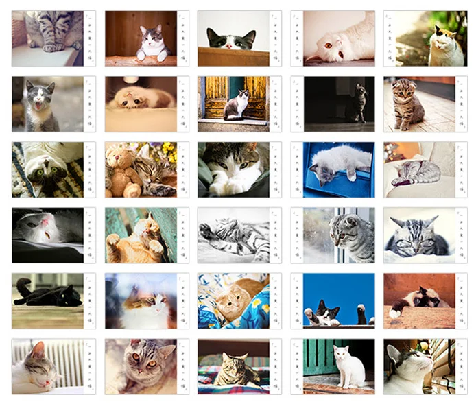 A153-One cat one life бумажная открытка(1 упаковка = 30 штук