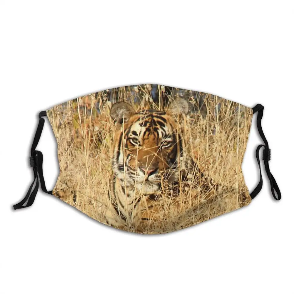 

Sub - Adult Male Bengal Tiger Fashion Masks Feline Big Cat Asian Cat Asian Tiger Threatened Endangered Young Male