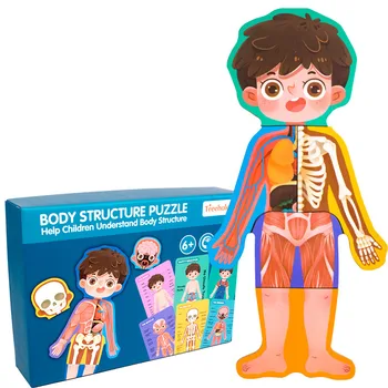 

Human Body Structure Bone Cognitive Puzzle Wooden Toys for 4 Years Old Boys Girls Children Safety Educational Toys