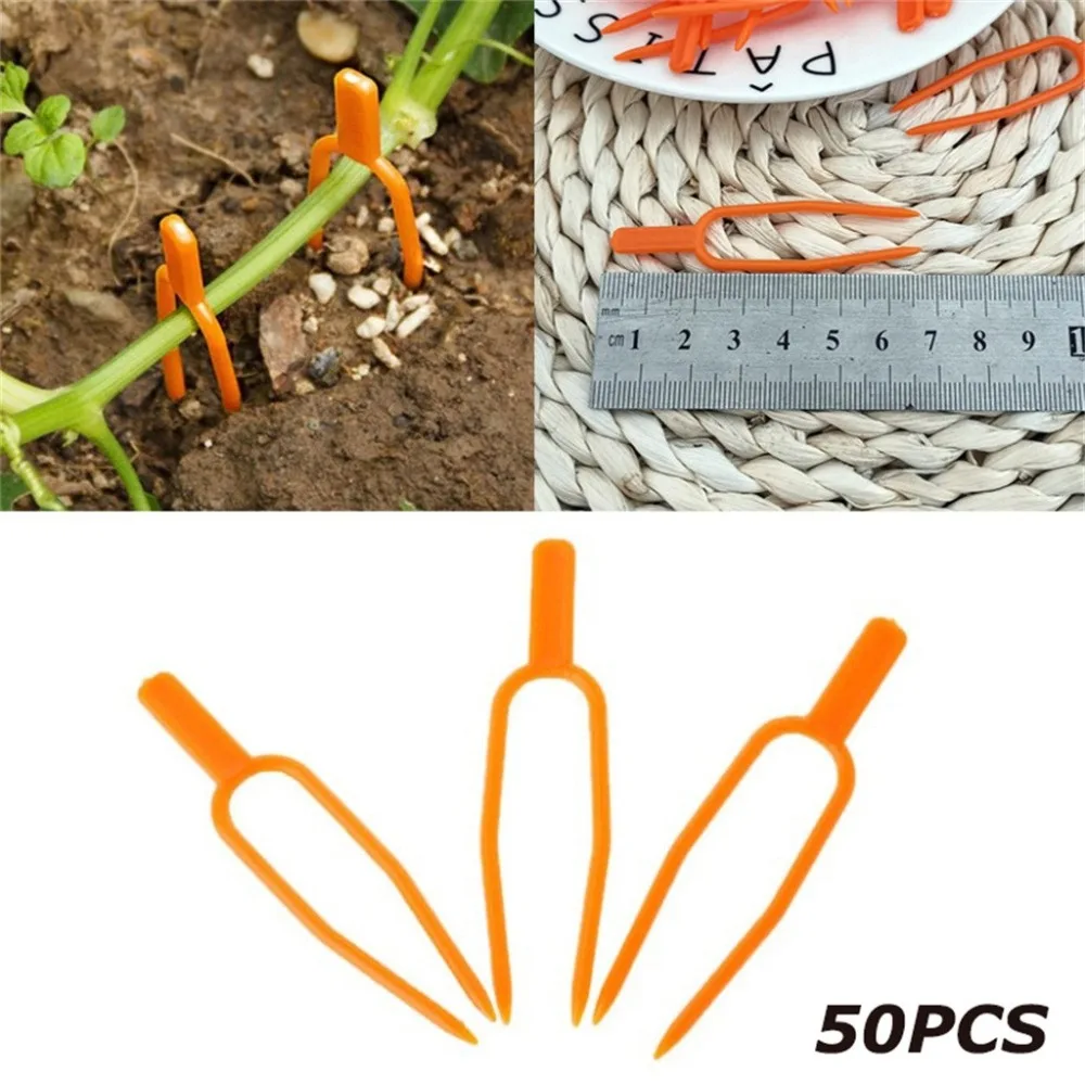 CCS91216001_0908456038914560608