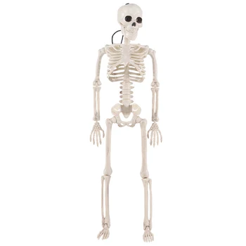 

Props Home Halloween Decor Party Supplies Flexible Anatomical Bone Spoof Learn Aid Garden Art Artificial Human Skeleton Scary