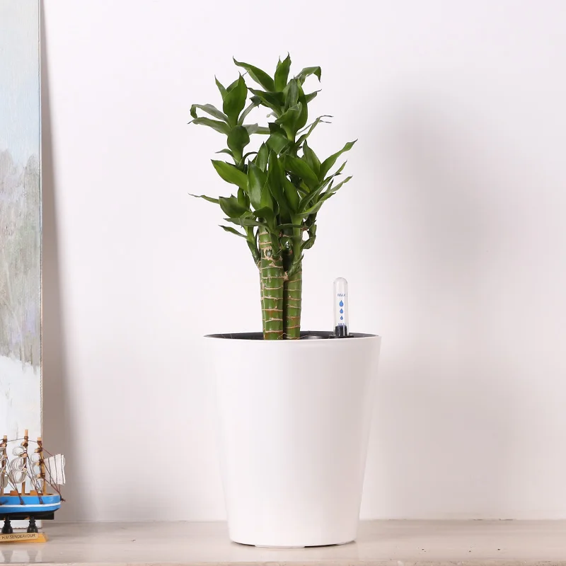 

Eight Color Water Level Gauge Automatic Watering Pot Intelligent Plastic Flower Pots Creative Home Office Decor