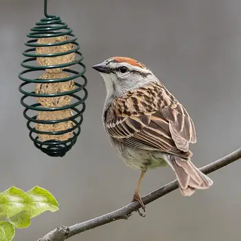 

Outdoor Bird Feeder Wild Bird Food Distributor Spiral Feeding Tool with Carrying Hook Metal Hanging Fat Ball Holder 7.5*7.5*28CM