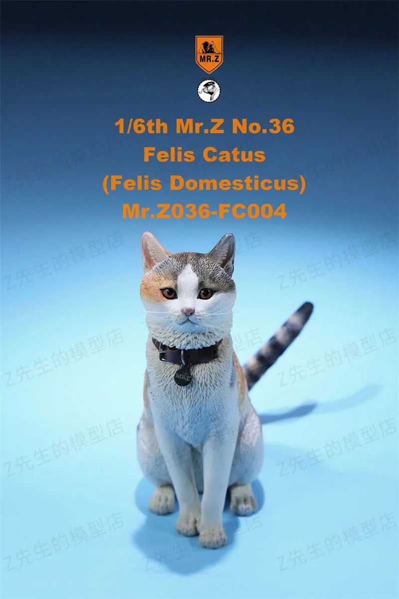 Mr Z MRZ036 FC006 1/6 House Cat Model Animal Figure 12'' Doll Accessories 