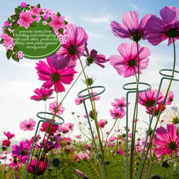 

Plant Support Stakes 6pcs Garden Tool Lightweight Plant Support Stakes Single Stem Rings For Flower