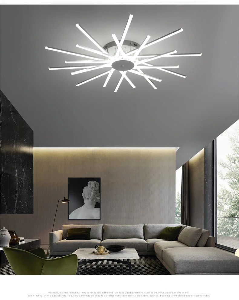 9154151802_1445569148