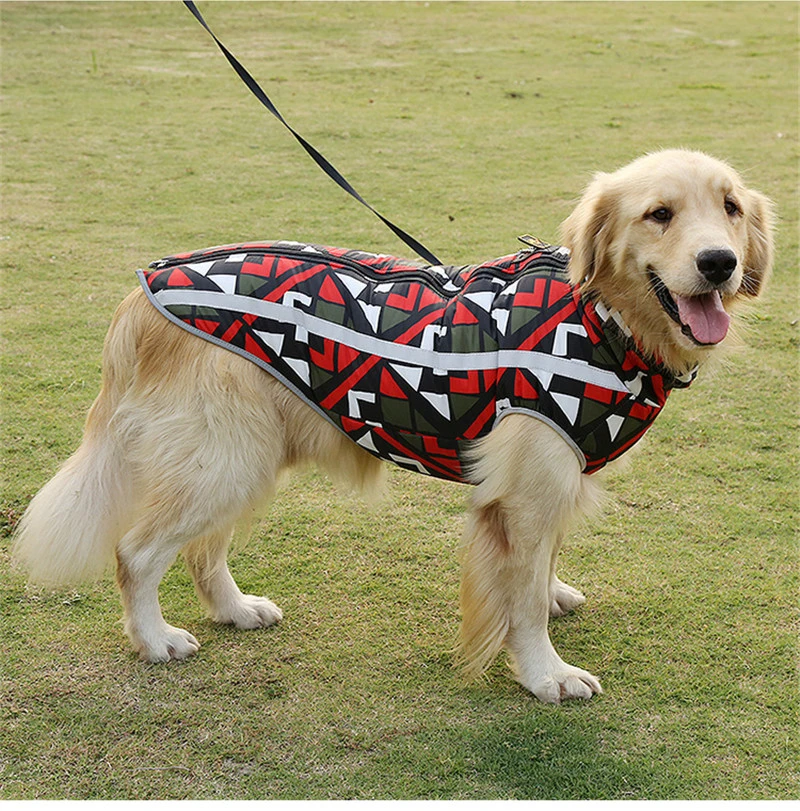 clothes for dogs (17)