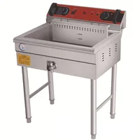 Electric Fryer Fried Chicken Fish Fritters French Fries Fully Automatic Commercial 20L Large Capacity 4800W Stainless Steel 220V 1