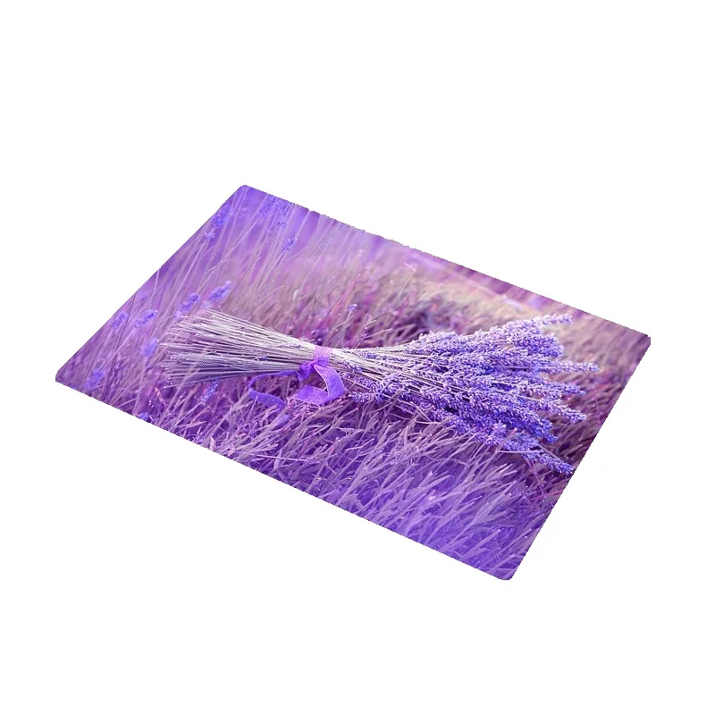 Cammitever Lavender Door Mat Carpet Hallway Doormat Bedside Floor Mat