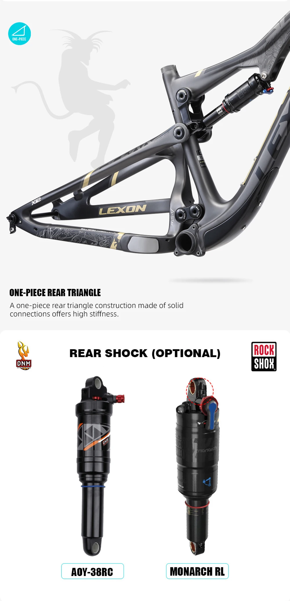 2022 Lexon SPARK 29er ALL MOUNTAIN AM ENDURO DOWNHILL FRAME CARBON DUAL