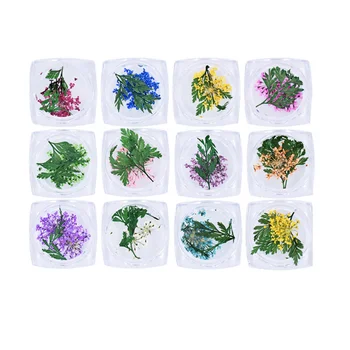 

12 Boxes 12 Colors Nail Real Dried Flower Nail Art Tips Decoration Design Flower Three-dimensional Applique 3D Nail Stickers Nai