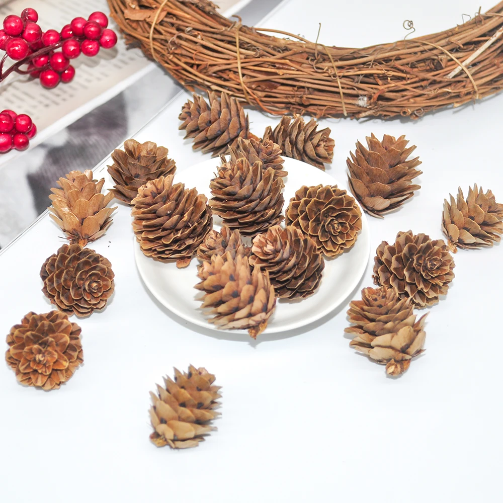 Natural pine cones (4)