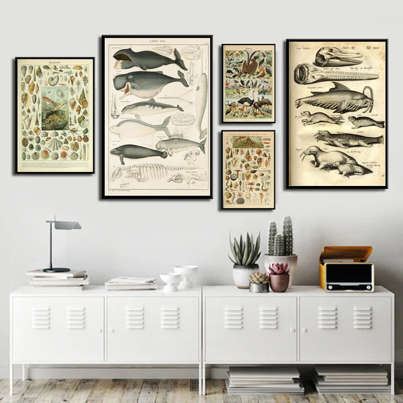 

Marine marine life shell fish animal retro illustration hight quality canvas painting hight quality home Decor No Frame o487