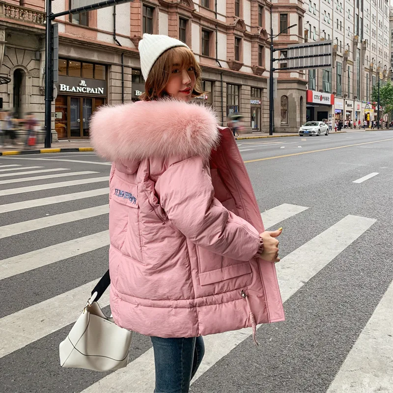 

Photo Shoot 2019 Winter New Style down Jacket Cotton-padded Clothes Women's Korean-style Mid-length Cotton-padded Clothes Hooded