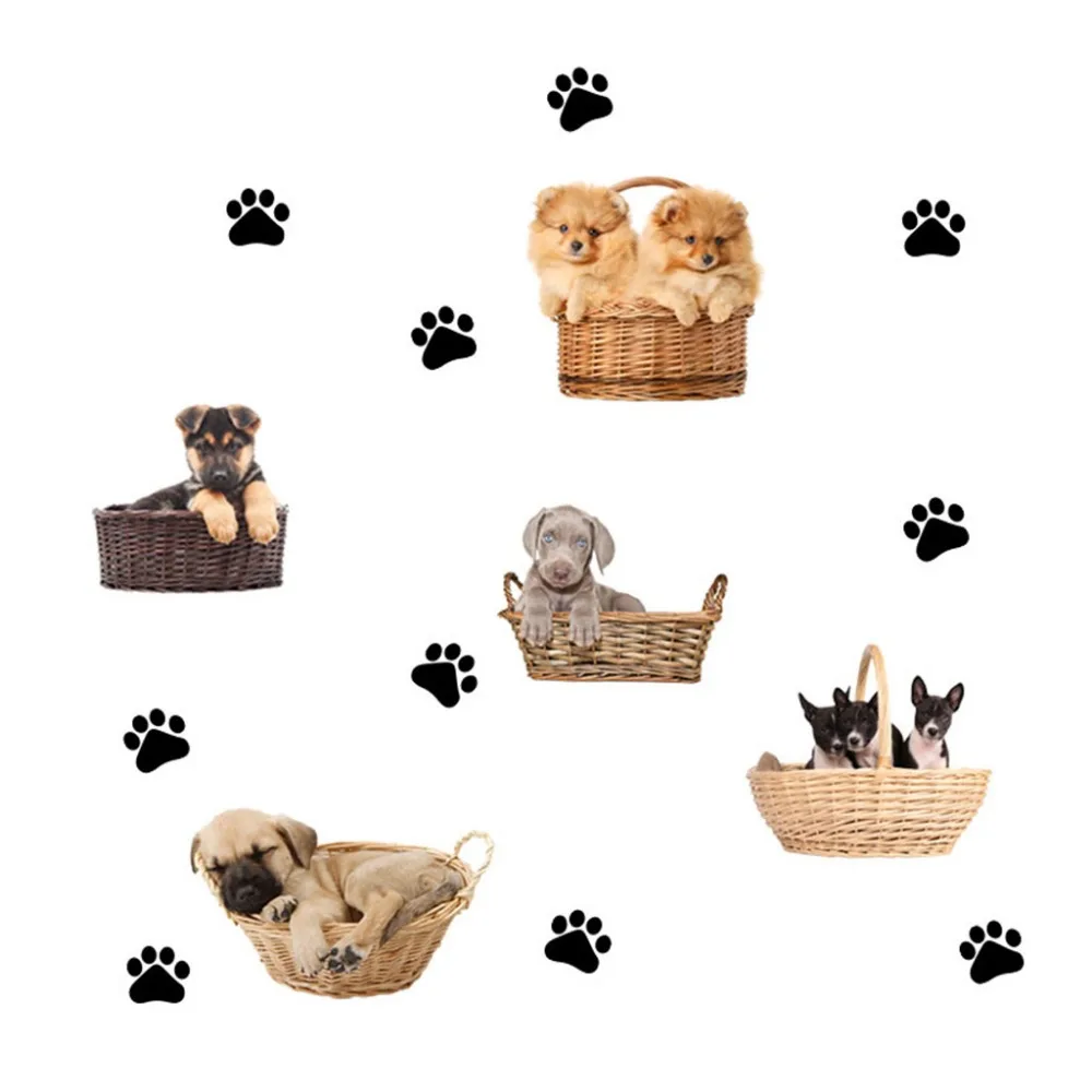 LLZ90513726_1121341835829361694