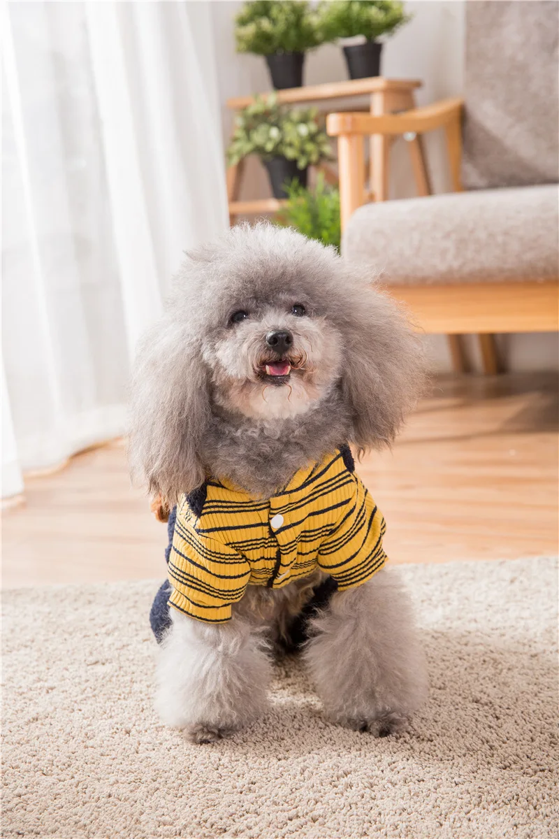 Hipidog полосатая одежда для маленьких собак Теплый осенне-зимний комбинезон для собаки Прямая поставка