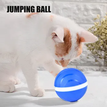 

Plastic Glowing Wicked Ball Pet Dog Cat Toys Electric LED Waterproof Roller Ball Toy MJJ88
