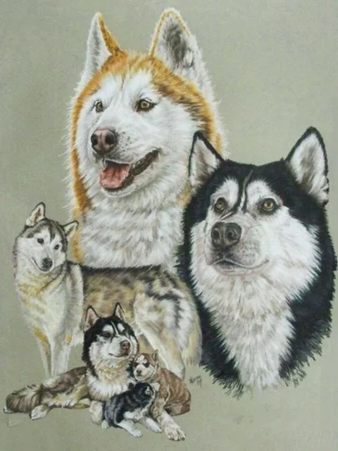 Square/Round Diamond Rhinestone 5D Diy Diamond Painting Animal Stone Embroidery Cute Husky Dog Cross Stitch Pattern Mosaic Gift 8Rp577-18
