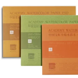 BaoHong – livre d'aquarelle professionnel en coton, 200g/m2, 20 feuilles de papier transfert peint à la main pour artiste, fournitures de peinture 
