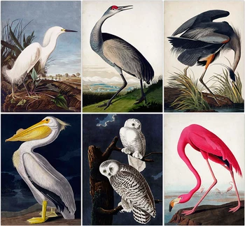 

Vintage Bird Audubon Bird Posters Pink Flamingo Snowy Owl Blue Heron White Egret Painting Wall Art Kraft paper