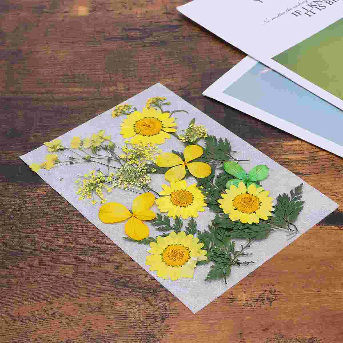 1 Set Flower Plants Specimen Herbarium DIY Dried Flower Material Pack