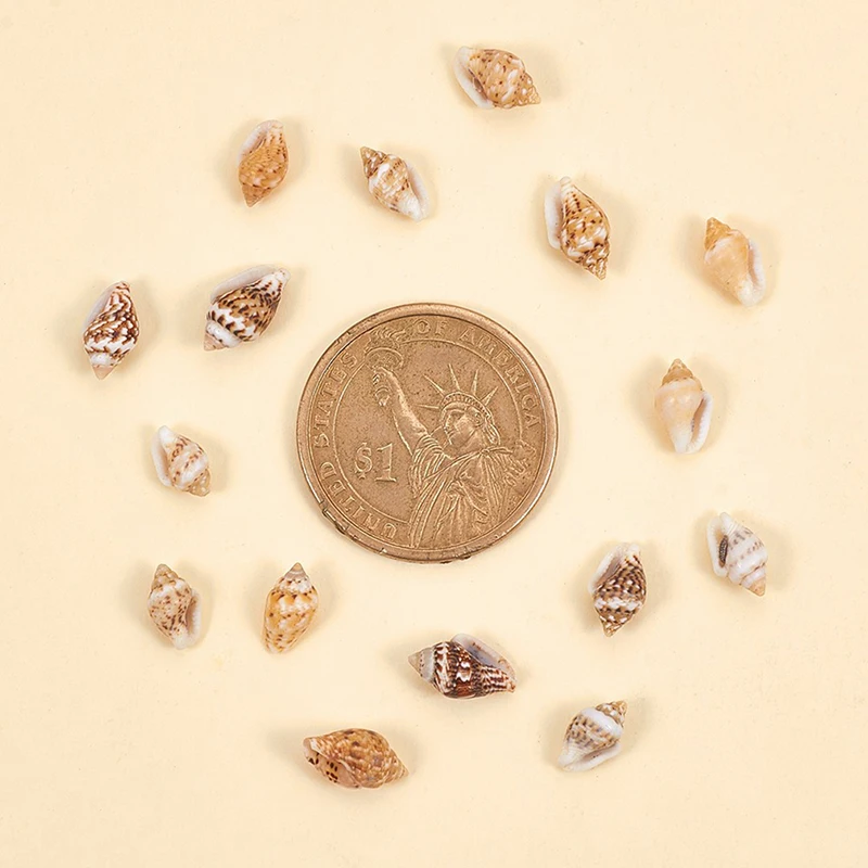 Крошечный Sea Shell океанический пляж спираль ракушки Craft талисманы украшение дома