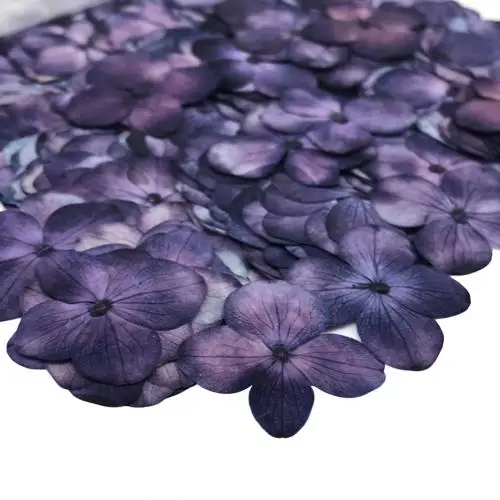 12Pcs Natural Pressed Decorative Dried Flowers Dried Flower Petals Artificial Flowers DIY Phone Case Party Wedding Decoration 