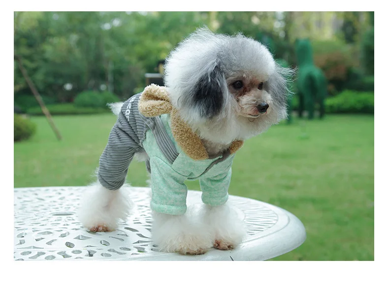 New Style Pet Warm Suspender Strap Legs Pants Cartoon Pet Clothes Teddy Puppy Clothing Manufacturers Wholesale