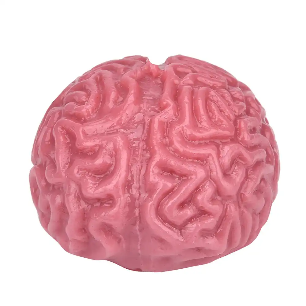 squishy brain toy