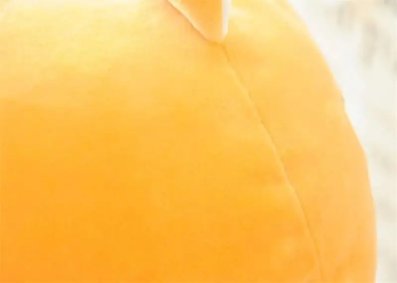 4578890009_714886195
