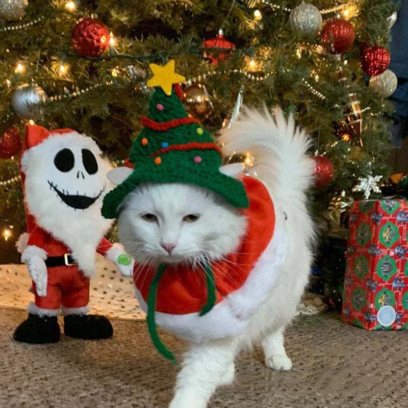 All'uncinetto albero di natale gatto gattino cappello costumi simpatico  animale domestico berretto per cani orecchio puntelli per foto copricapo  accessori per gatti per Russianblue bangladesh al|Cat Accessories| -  AliExpress