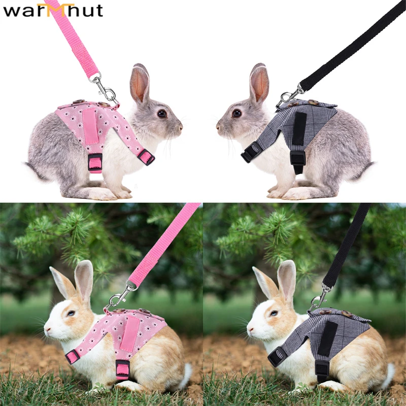 Rabbit Leash Harness | Bunny Harness Leash | Harness Pigs | Rabbit Vest ...