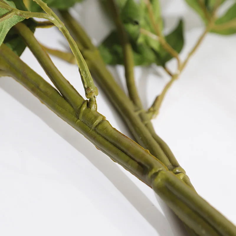 11487911315_1995322644