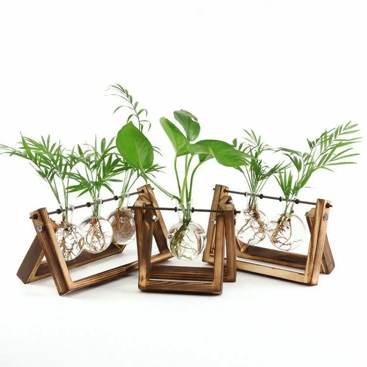 

Glass and Wood Vase Planter Terrarium Table Desktop Hydroponics Plant Bonsai Flower Pot Hanging Pots with Wooden Tray Home Deco