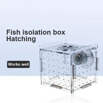 1pcs Fish Tank Transparent Aquarium Single Double Multi Grid Isolation Box Small Fry Incubator Breeding Box Aquatic Pet Supplies 1