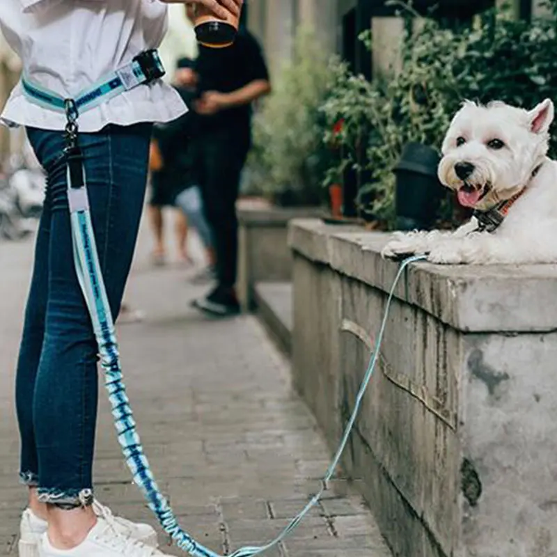 2021 Adjustable Reflective Leash Traction Rope Pet Dog Running Belt Elastic Hands Freely Jogging Pull Dog Collar D-ring Leashes