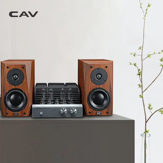 Cav Fl 25 Speakers High End Bookshelf Speaker Wood Speaker Veneer