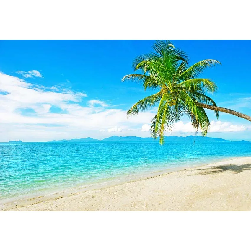 Tropical Beach and Sky Photography Backdrop
