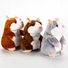 15cm Lovely Talking Hamster Pet Plush Toy Speak Talk Sound Record Repeat Stuffed Interactive Toys Educational Toys For Children ► Photo 2/6