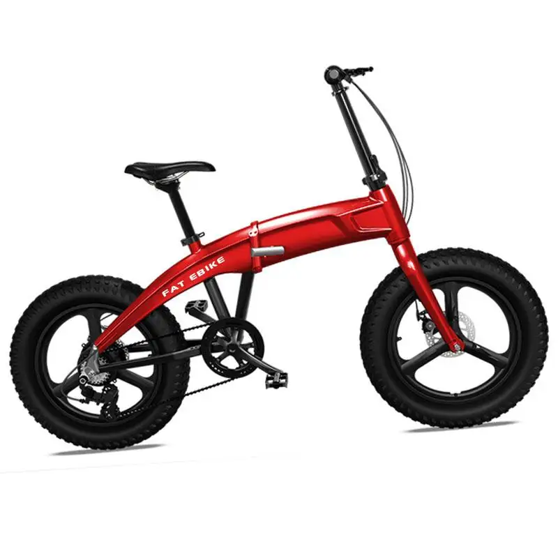 Fat Tire Электрический велосипед 20 дюймов Скрытая литиевая батарея 36V 350W снег