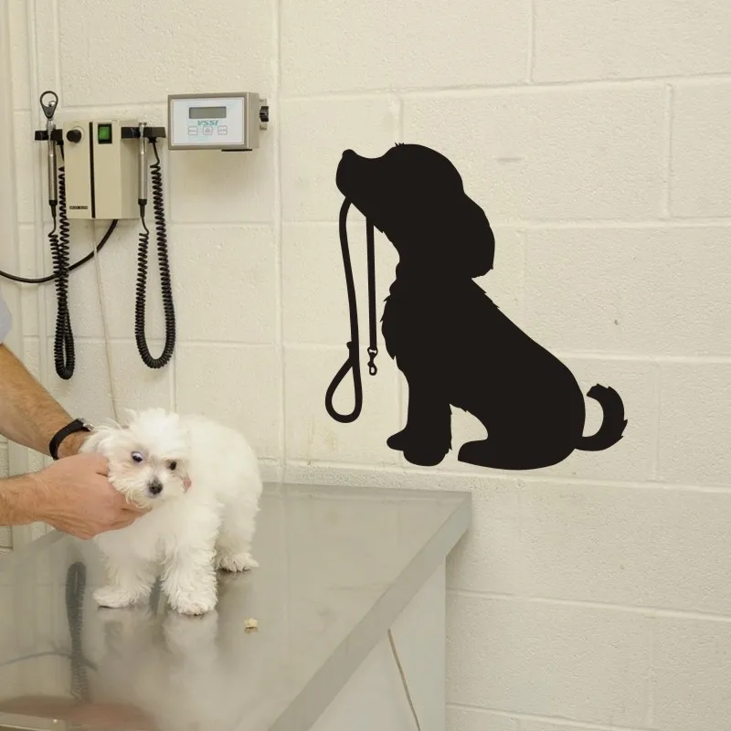 Grooming Dog Salon Decal Pet Shop Wall Sticker Posters Vinyl Art Decals Parede Decor Mural Clinic | Дом и сад